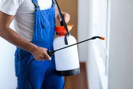 Best Fumigation Services  in Coatesville, PA